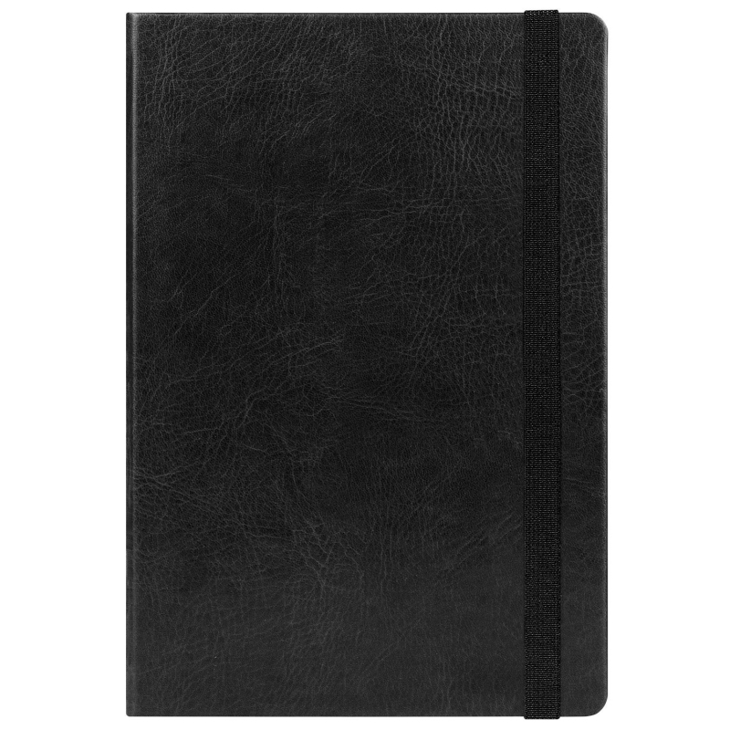 Ежедневник Voyage BtoBook